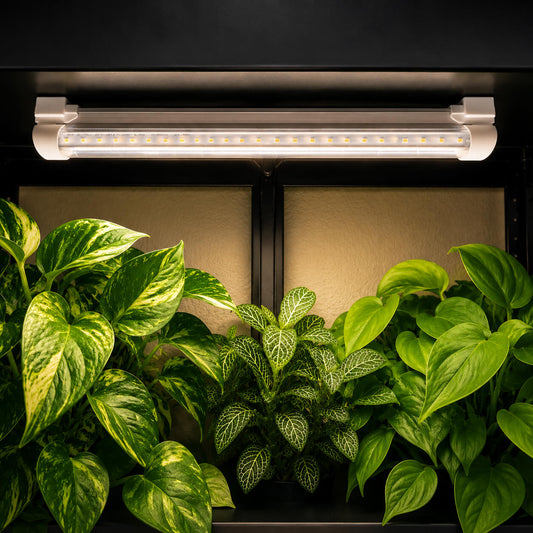 Magnetic T8 grow light mount installed in plant cabinet with grow lights