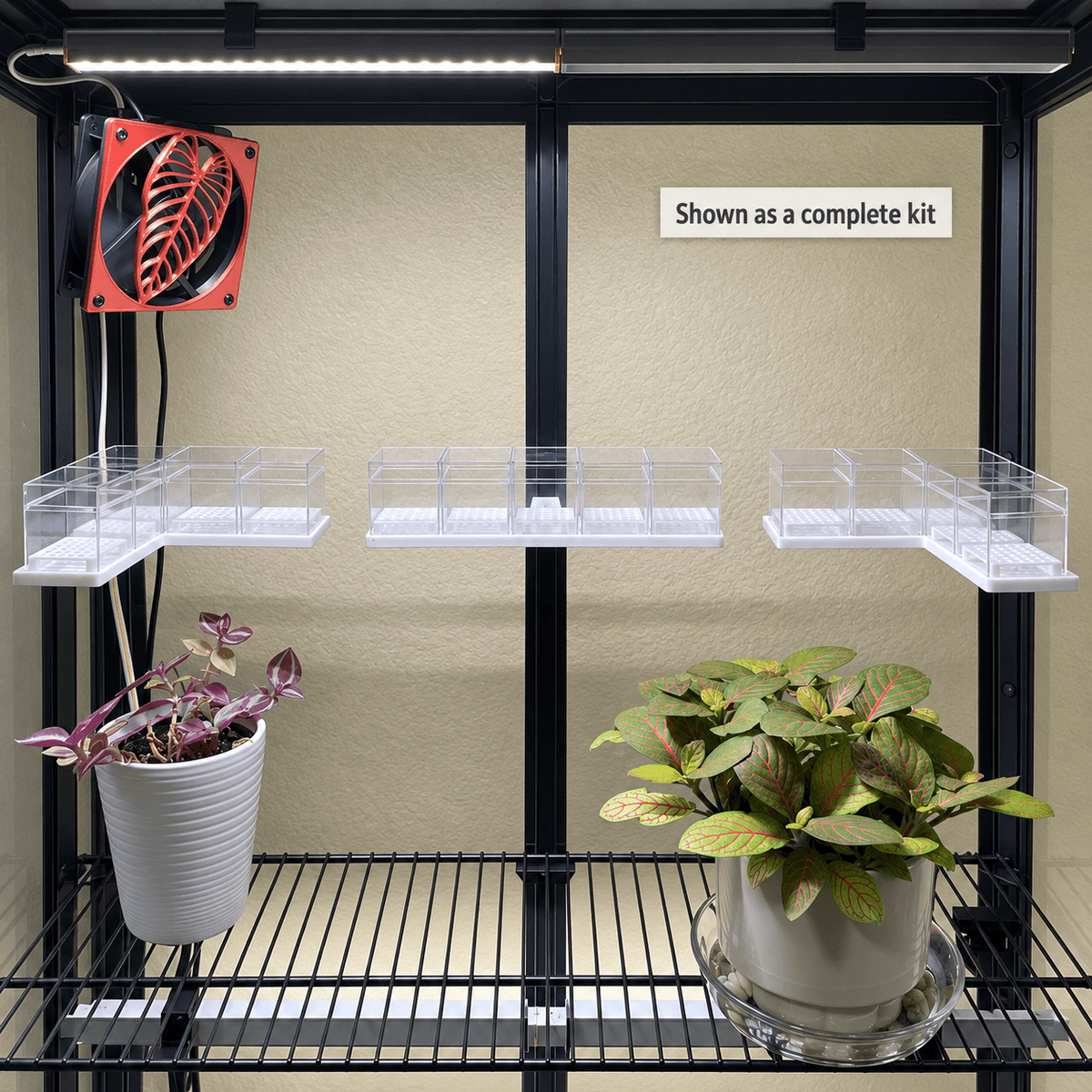Black metal indoor plant grower's rack with two shelves, clear plastic grow trays, a red fan, and two potted plants, shown as a complete kit against a beige wall.