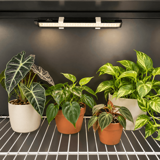 Vivosun T5 Angled Magnetic Light Mounts Set of 2