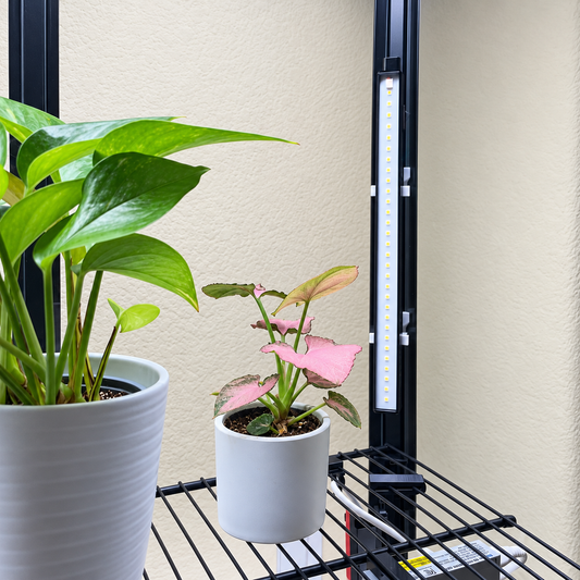Vivosun T5 light mounted vertically in an IKEA Milsbo cabinet beside potted plants on wire shelving.