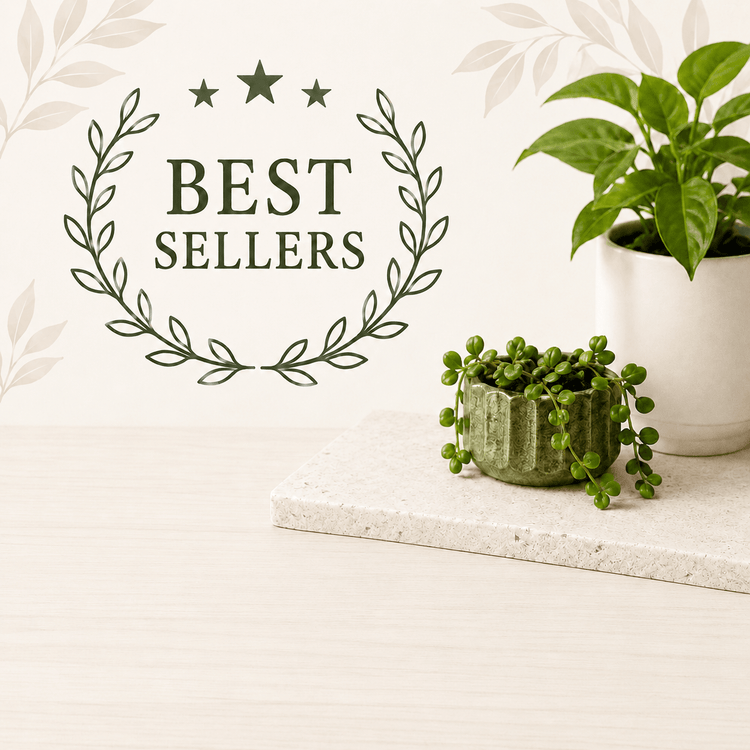 Best Sellers collection graphic with green houseplants and elegant botanical styling.