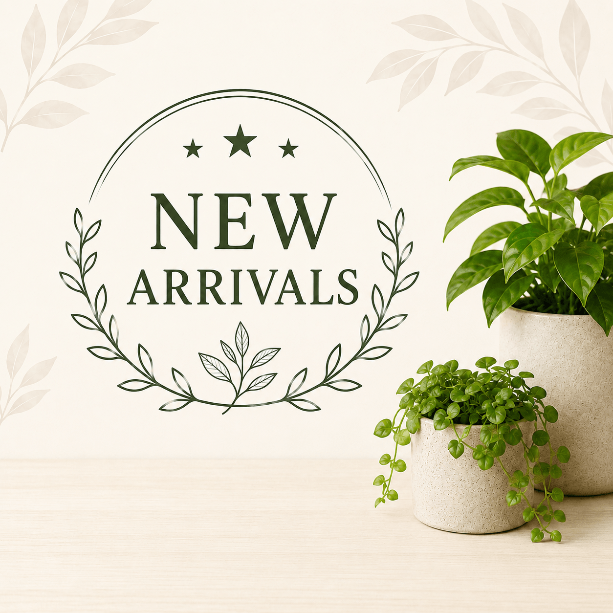 New Arrivals collection graphic with potted green houseplants and botanical styling.