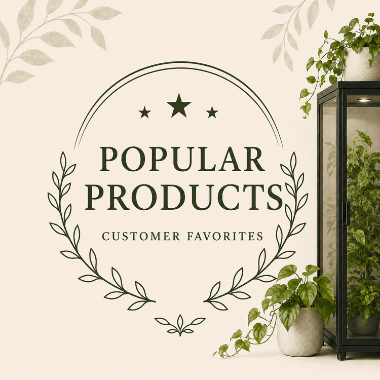 Popular Products collection graphic with a plant cabinet, houseplants, and botanical accents.