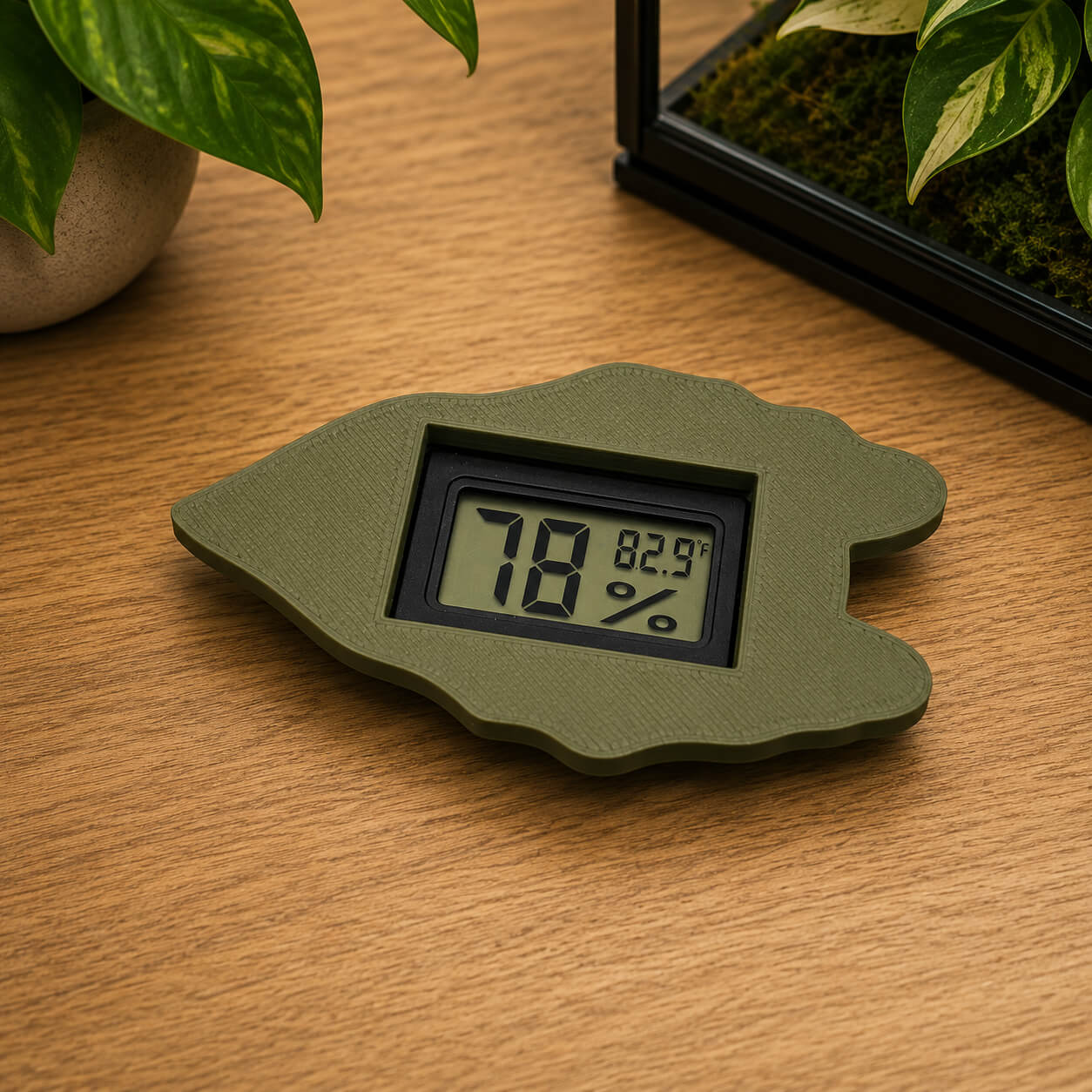 Alocasia leaf hygrometer mounted on cabinet glass – WBDesignsLV