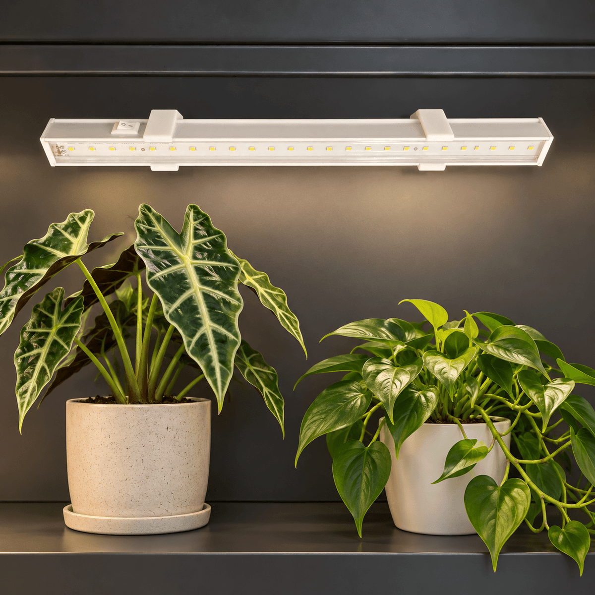 Barrina T5 grow light with its LED face visible, supported by two white angled magnetic mounts above plants in a dark cabinet.
