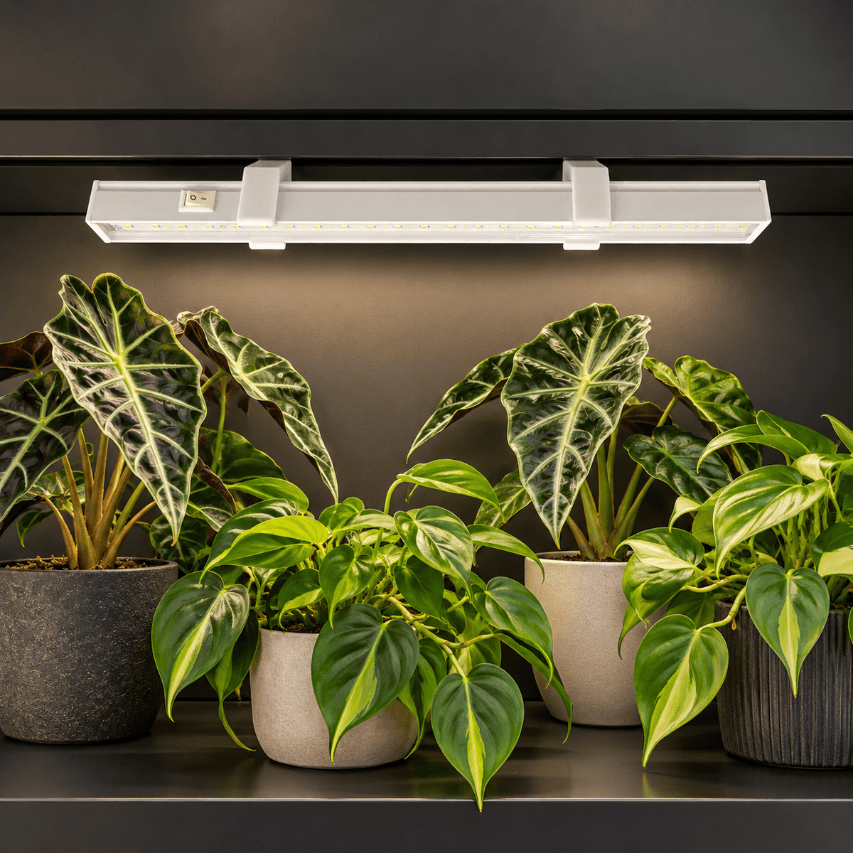 White angled magnetic mounts holding a Barrina T5 grow light in a dark metal plant cabinet, showing the upper light housing above leafy plants.