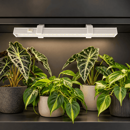 White angled magnetic mounts holding a Barrina T5 grow light in a dark metal plant cabinet, showing the upper light housing above leafy plants.