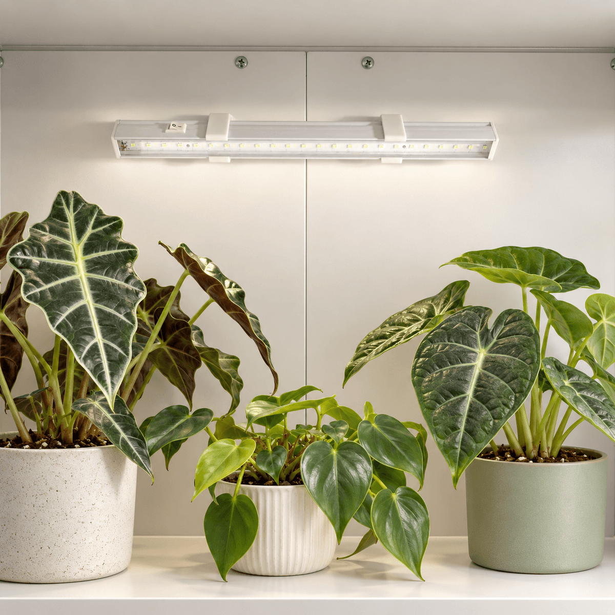 Barrina T5 grow light held by two white angled magnetic mounts against a light-colored metal cabinet back, with potted plants below.