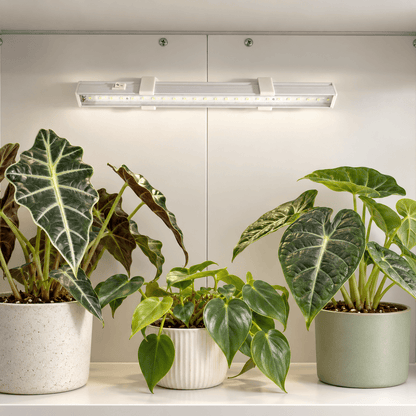 Barrina T5 grow light held by two white angled magnetic mounts against a light-colored metal cabinet back, with potted plants below.