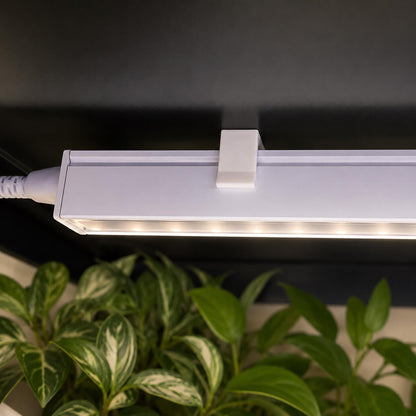 Barrina T5 magnetic light clip installed in IKEA Milsbo plant cabinet – close-up