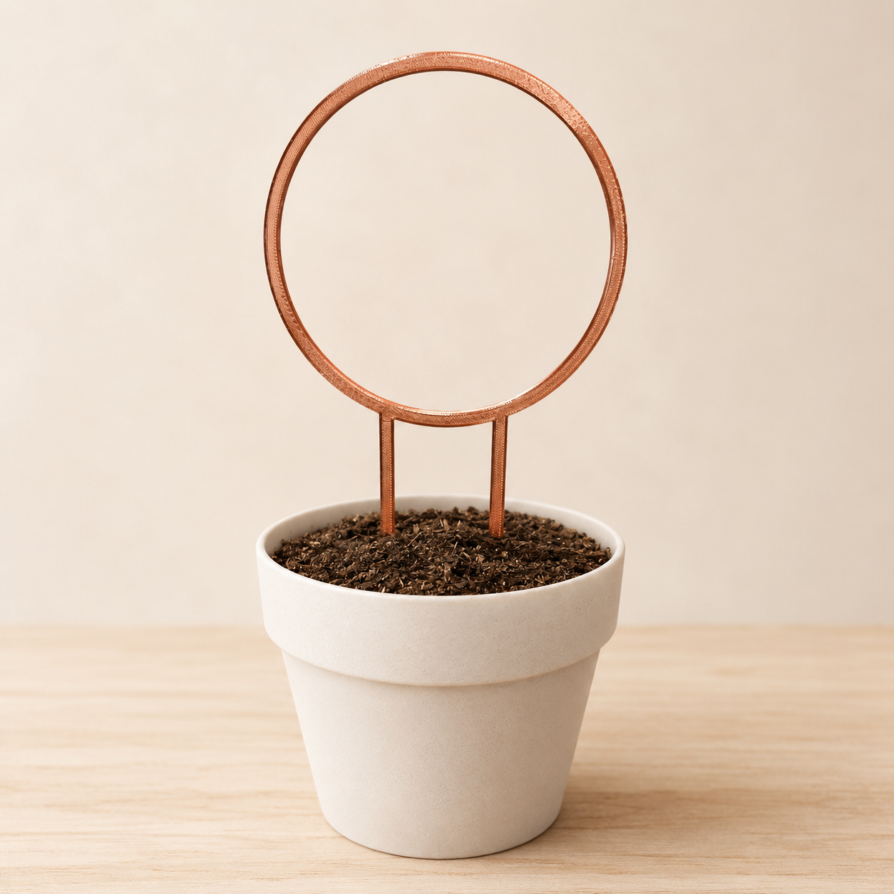 Minimalist circular plant trellis displayed in an indoor flowerpot