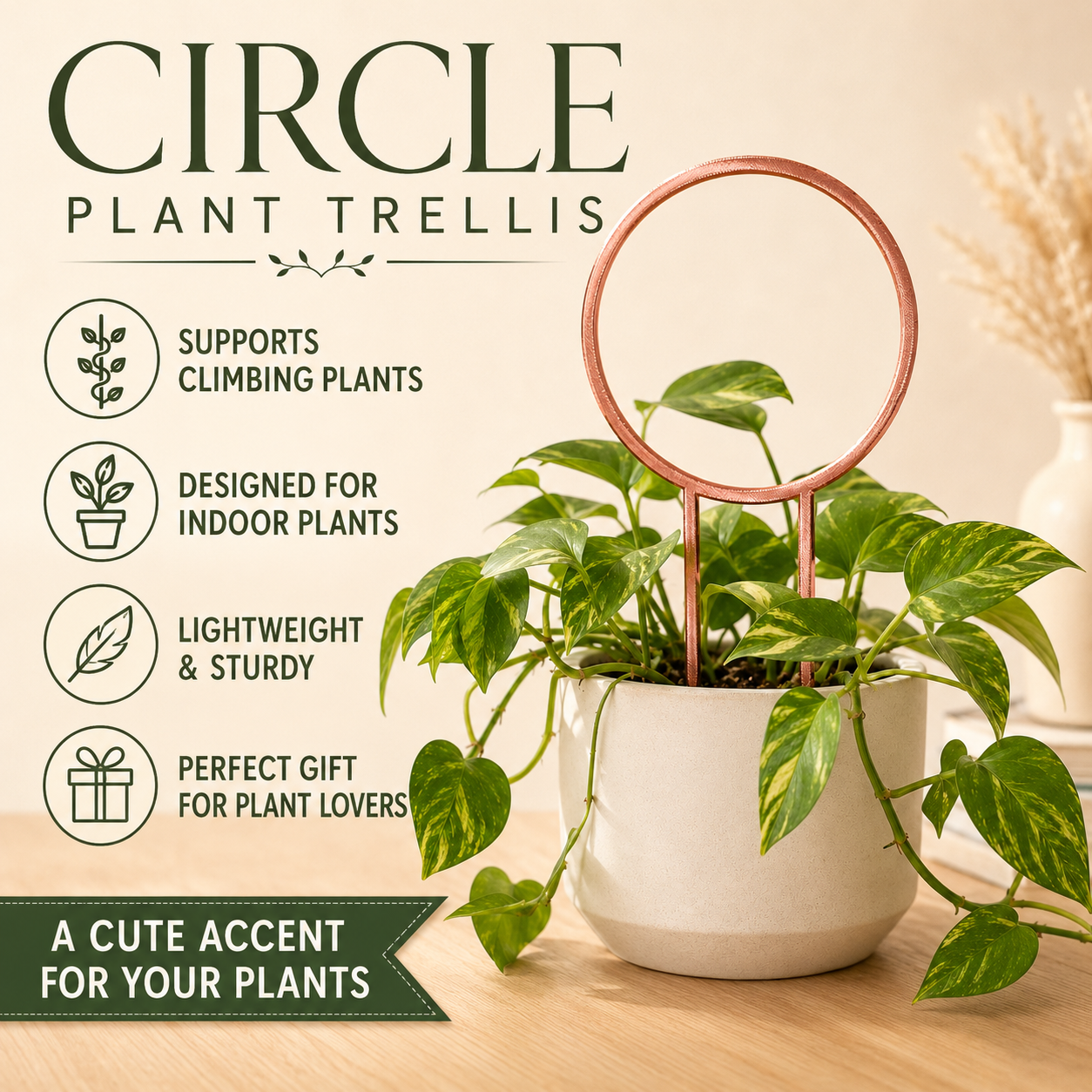 Circle plant trellis in copper silk displayed with an indoor houseplant