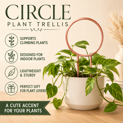 Circle plant trellis in copper silk displayed with an indoor houseplant