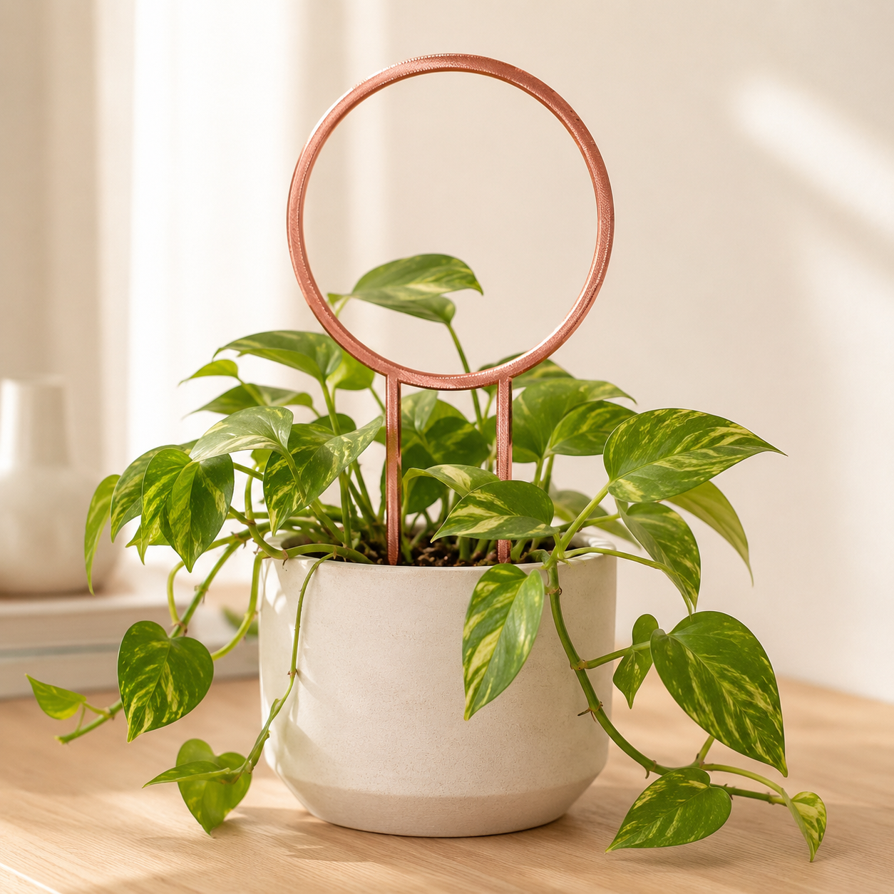 Copper silk circle trellis supporting climbing vines in a ceramic planter