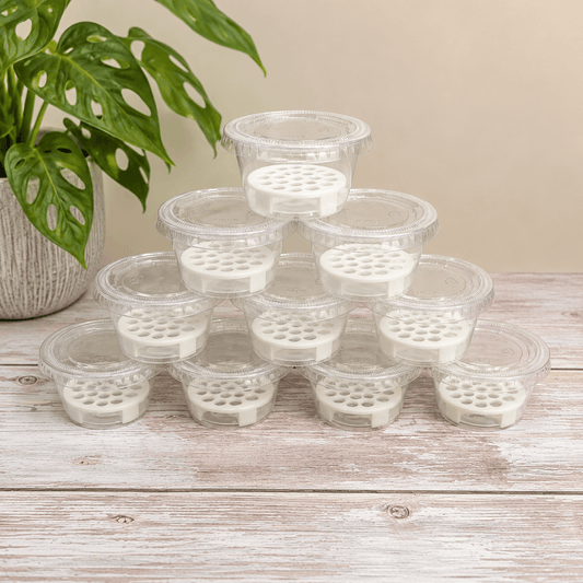 A stack of clear plastic round containers with white insert pieces, arranged in a pyramid on a whitewashed wooden surface, with a potted green plant in the background.