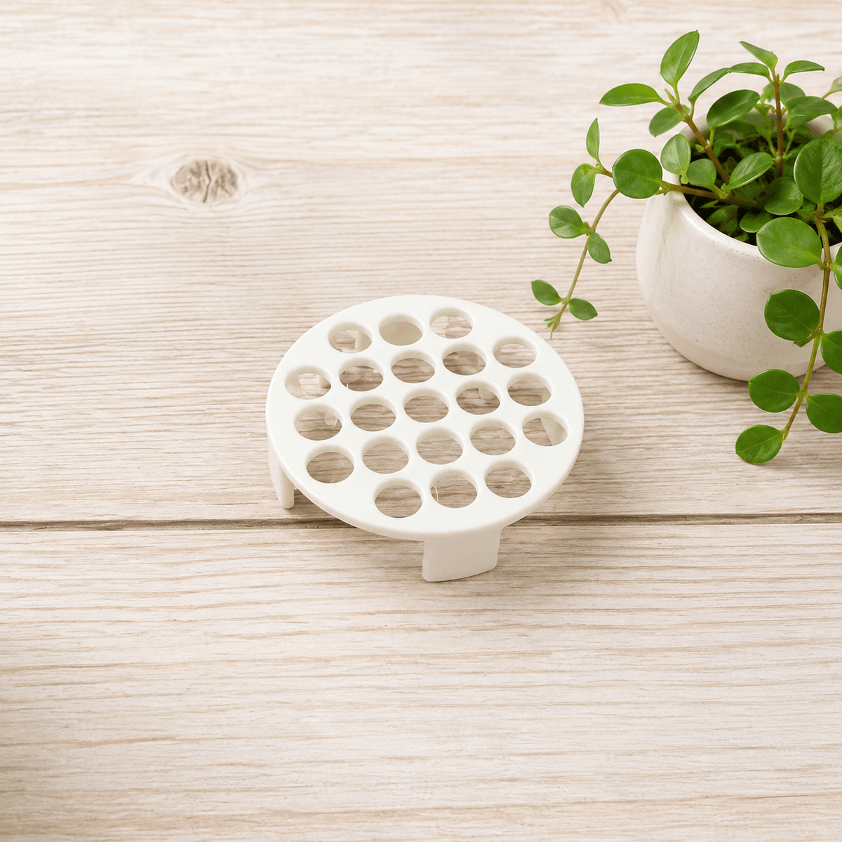 A white plastic round drain stopper with multiple circular holes, shown on a light wood surface next to a small potted green plant.