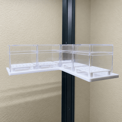 Alocasia Corm Propagation Boxes with Risers – Cormarium 5 Pack