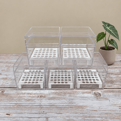 Alocasia Corm Propagation Boxes with Risers – Cormarium 5 Pack