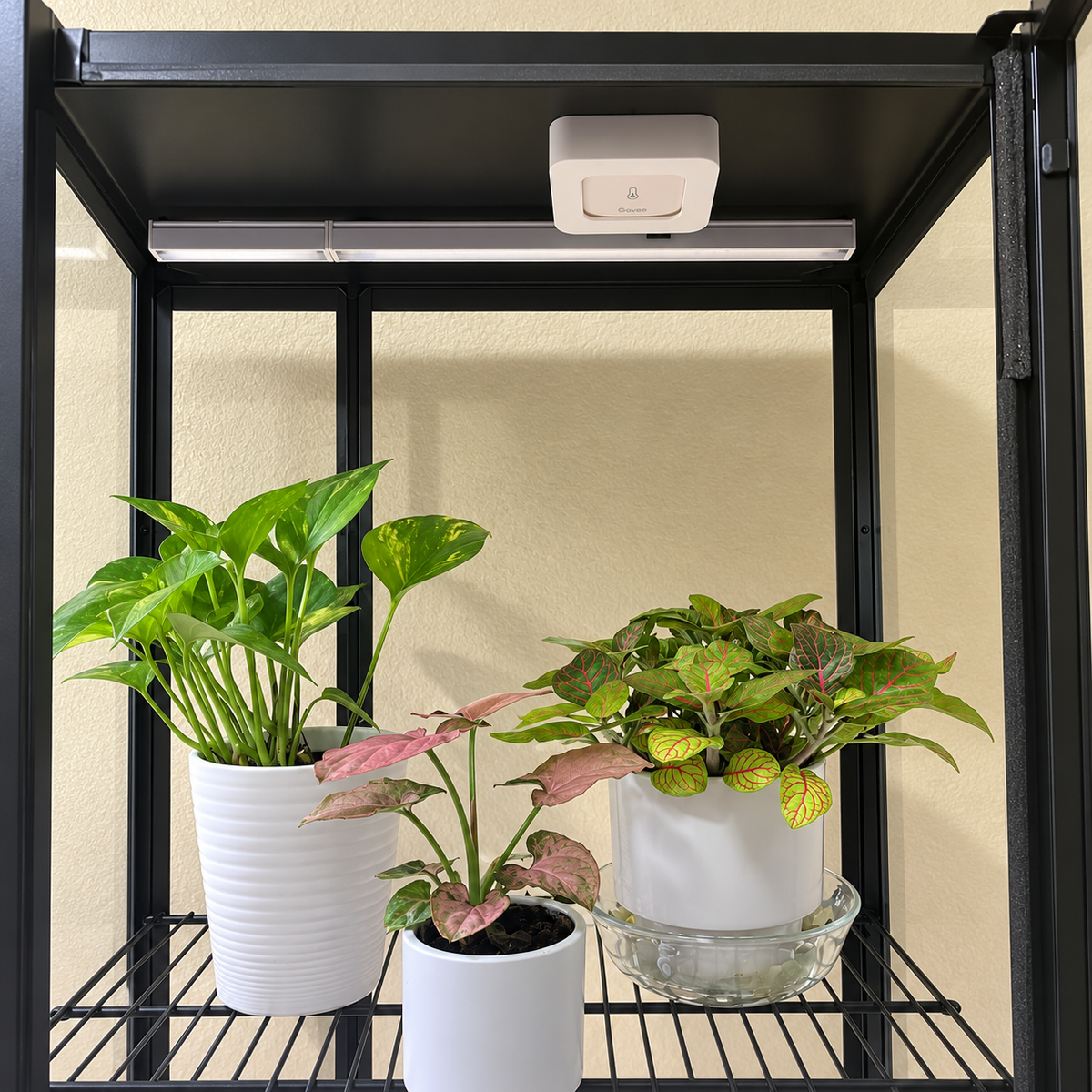 White Govee H5179 magnetic mount attached beneath a black cabinet ceiling beside an LED grow light.
