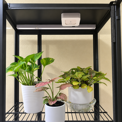 White Govee H5179 magnetic mount attached beneath a black cabinet ceiling beside an LED grow light.
