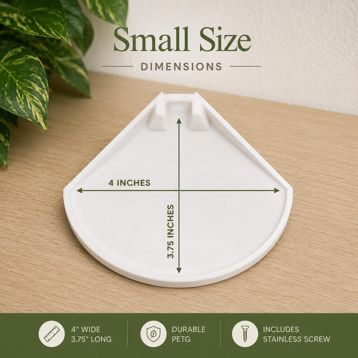 Small white pet dish with dimensions on a wooden surface, plant in the corner.