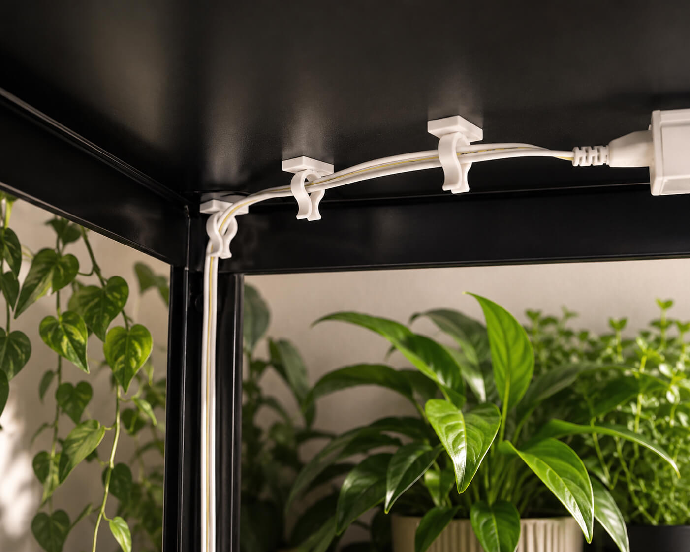White LED strip light fixture on a black ceiling with plants in the background