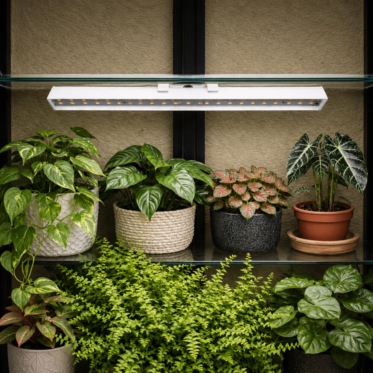 Collection of potted plants under a LED grow light on a shelf.