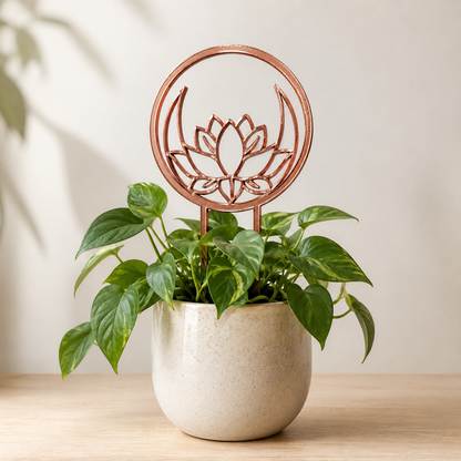 Copper silk lotus trellis supporting climbing vines in a ceramic planter
