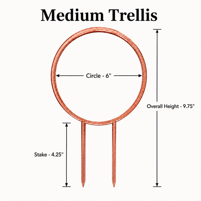 Medium Highland cow plant trellis dimensions showing 6 inch design width