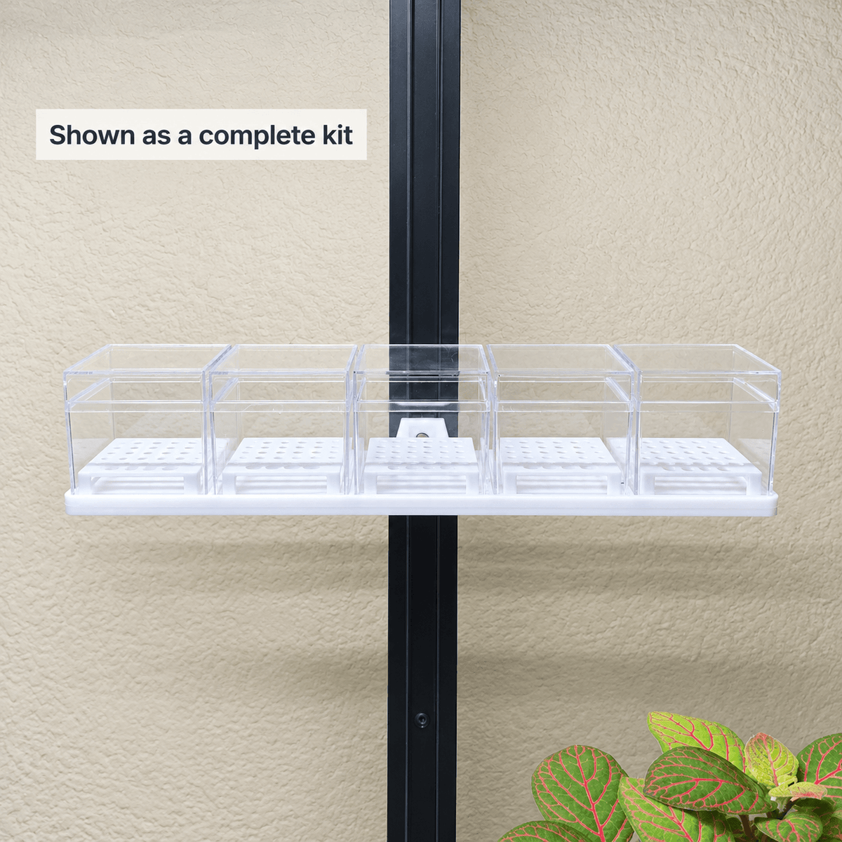 A clear plastic grow tray kit with four compartments mounted on a black vertical support against a beige stucco wall, with a small green plant visible in the lower right corner and a text label reading 'Shown as a complete kit'.