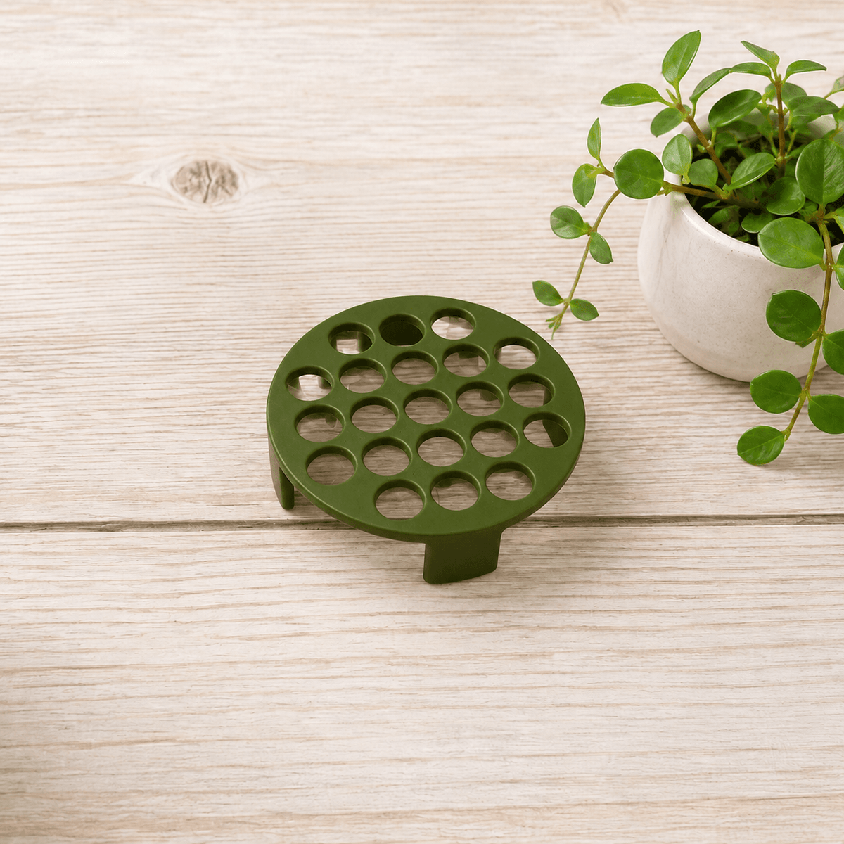 An olive green circular drain cover with multiple circular holes and a short leg, placed on a light wood surface next to a potted green plant.