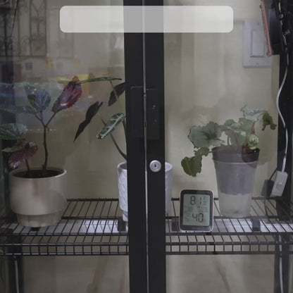 Alocasia Leaf Handle for IKEA Milsbo Tall