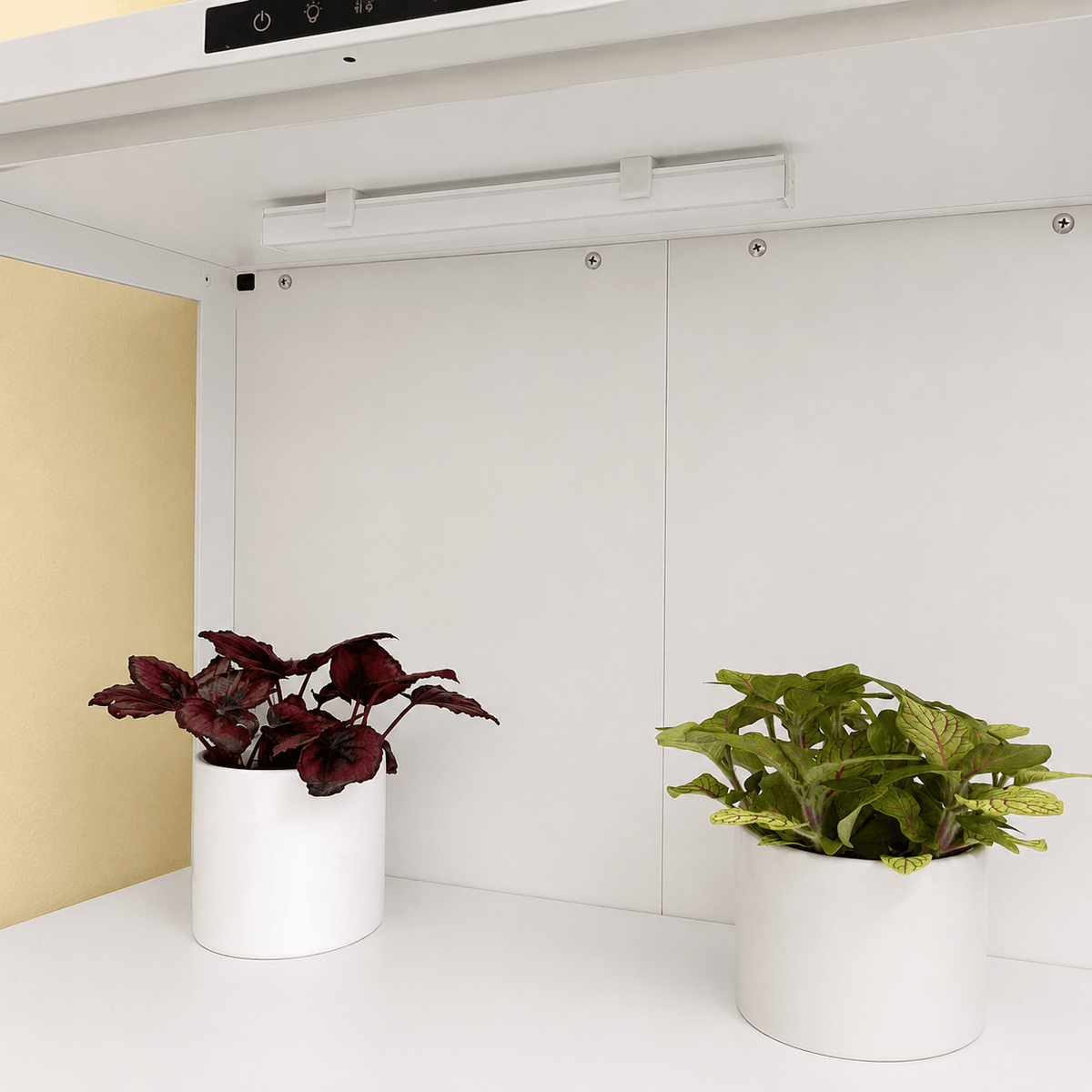 A modern white indoor garden shelf with two white cylindrical planters holding green and burgundy potted plants, set against a minimalist white and beige background.