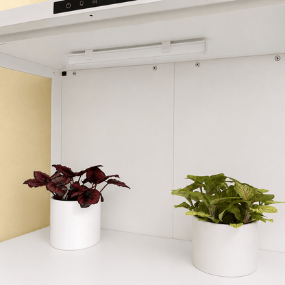 A modern white indoor garden shelf with two white cylindrical planters holding green and burgundy potted plants, set against a minimalist white and beige background.