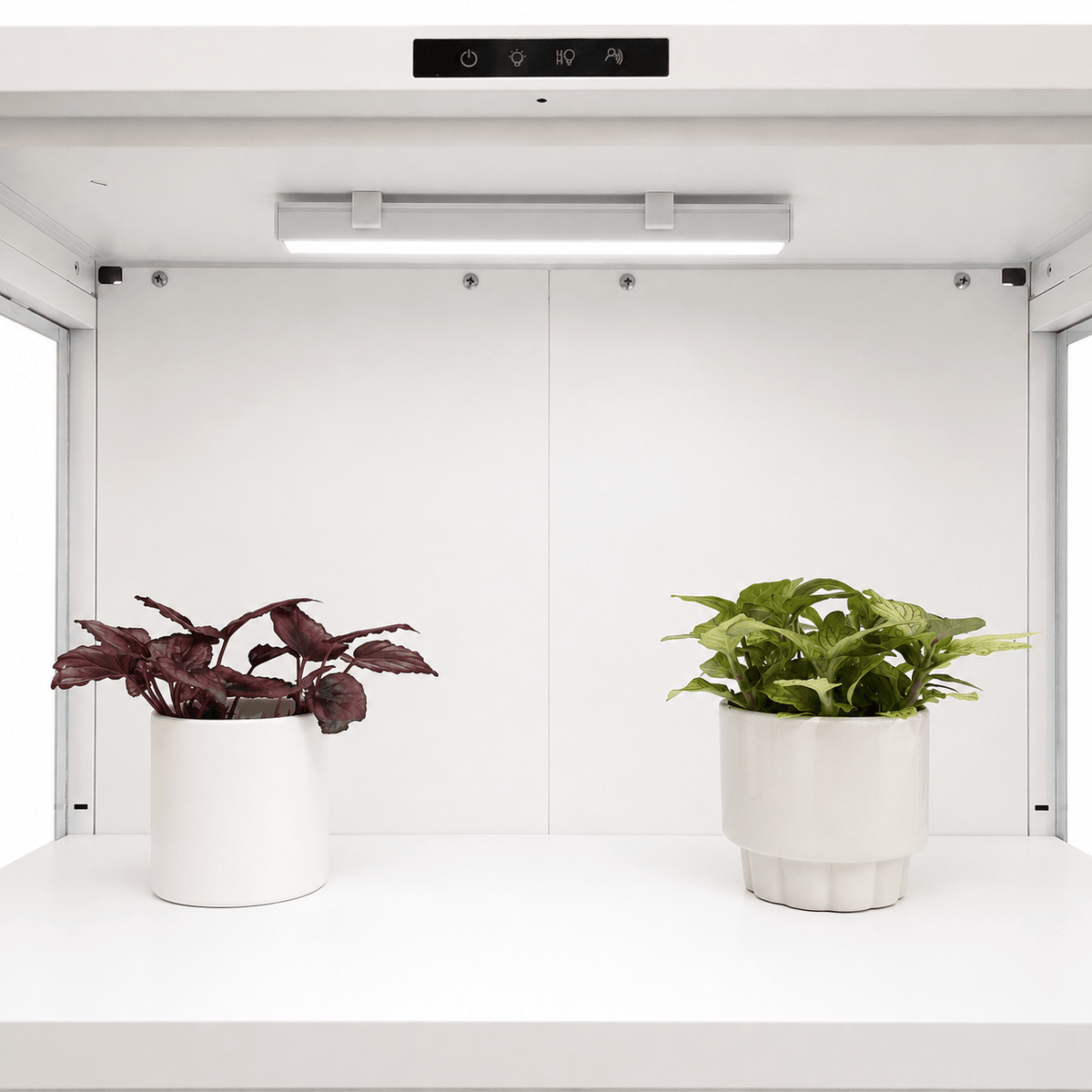A white indoor grow light mounted on a white shelf above two potted plants in white pots, set against a clean white wall and frame.