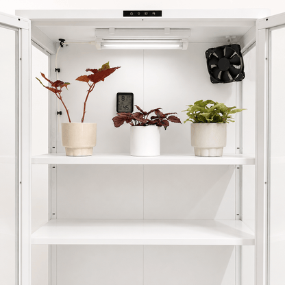A white modular indoor grow kit with three shelves, containing three potted plants, a digital temperature/humidity display, and a black exhaust fan mounted on the back wall.