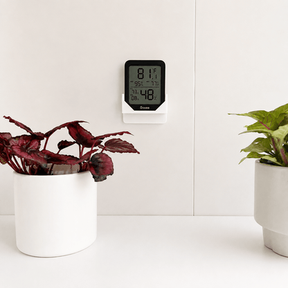A digital indoor humidity and temperature monitor mounted on a white wall above a white surface, flanked by two potted plants. The device has a black face and white base, showing readings of 81% humidity and 48 degrees Fahrenheit.