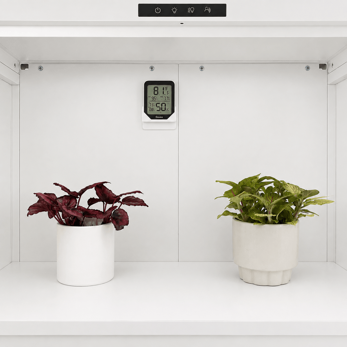 A white indoor plant grow light box with a digital temperature and humidity sensor mounted on the back panel, with two potted plants placed inside on the shelves.