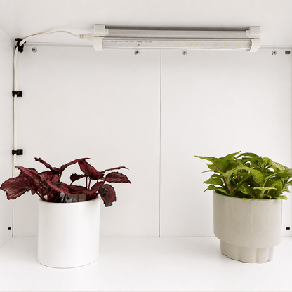 A white LED grow light mounted on a white shelf above two potted plants against a white wall.