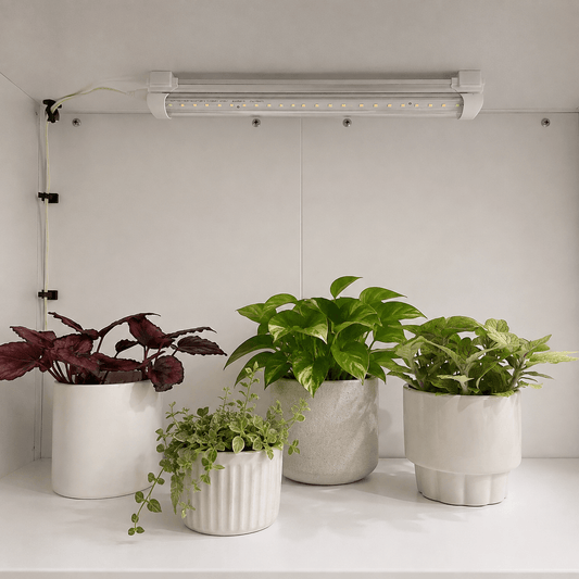 A white LED grow light mounted on a white wall above three potted green plants in textured white planters on a white shelf.