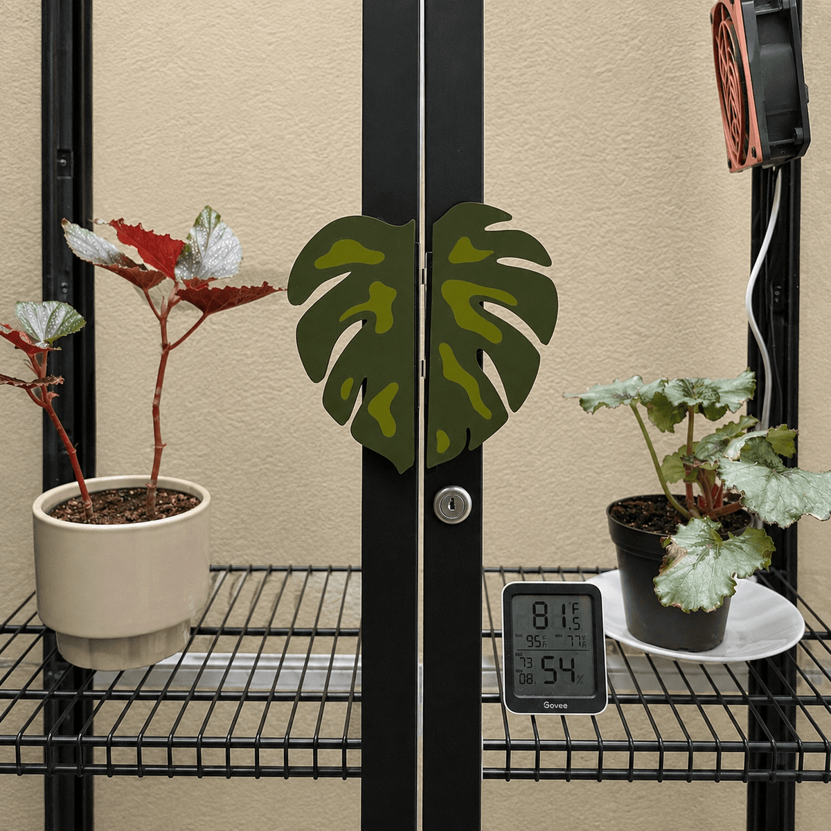 A pair of green monstera leaf-shaped plant guards with a keyhole cutout, shown on a black metal shelving unit next to potted plants and a digital thermometer.