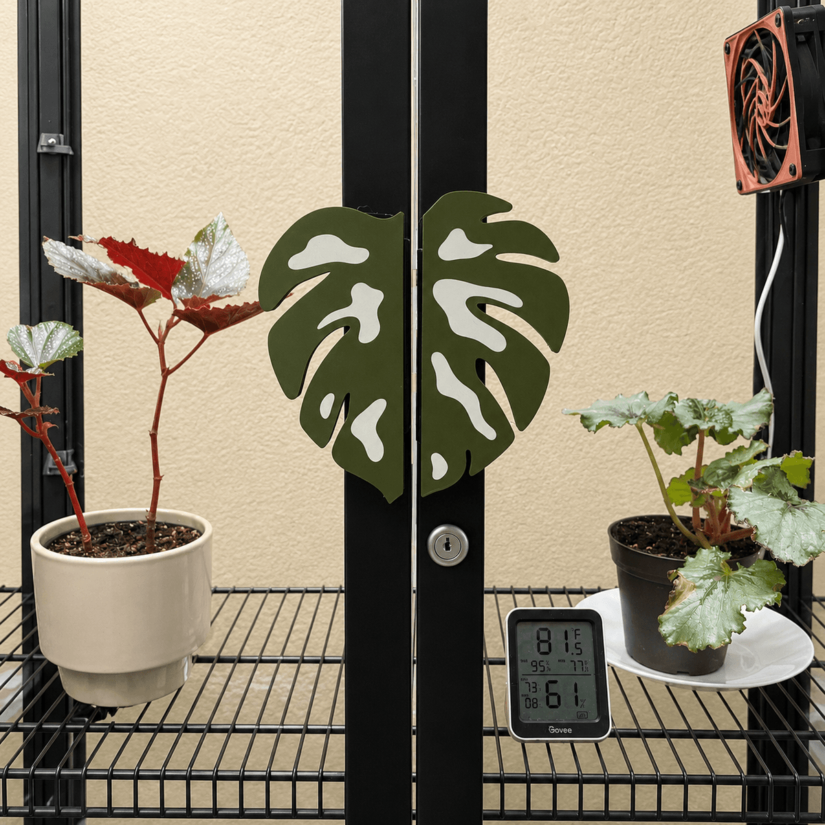A black metal greenhouse door with two green monstera leaf-shaped handles, shown with potted plants on wire shelves and a digital humidity/temperature controller.