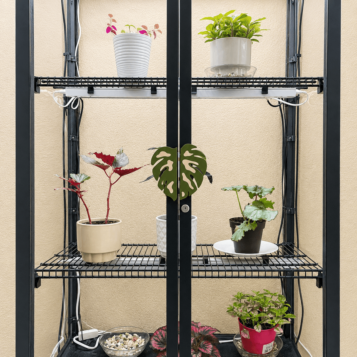 A black metal shelving unit with four tiers holds several potted houseplants against a beige stucco wall. The shelves are arranged symmetrically, with some pots sitting on the top and bottom shelves and a small bowl of soil or substrate on the lowest shelf.