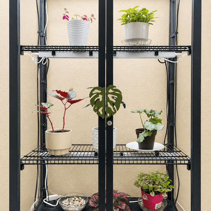 A black metal shelving unit with four tiers holds several potted houseplants against a beige stucco wall. The shelves are arranged symmetrically, with some pots sitting on the top and bottom shelves and a small bowl of soil or substrate on the lowest shelf.