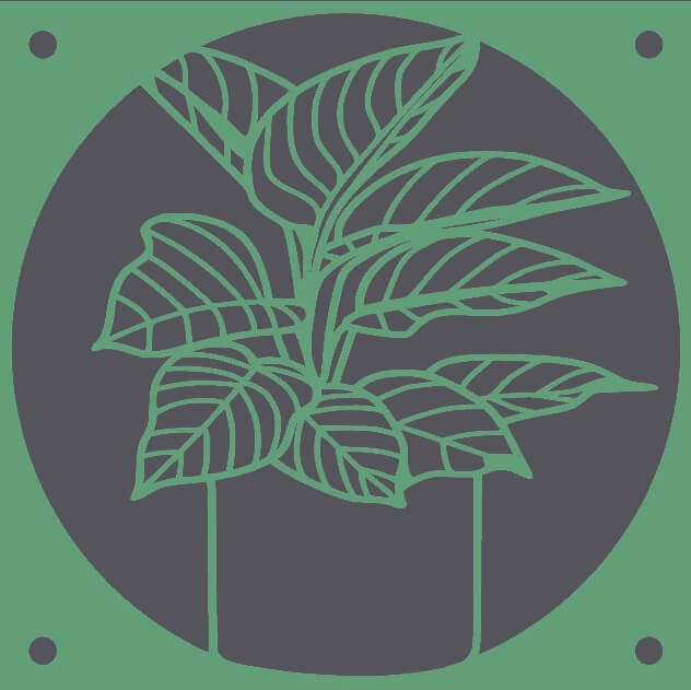Calathea decorative fan cover in olive green – WBDesignsLV