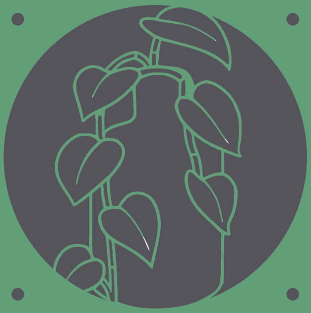 Pothos Vine decorative fan cover in olive green – WBDesignsLV