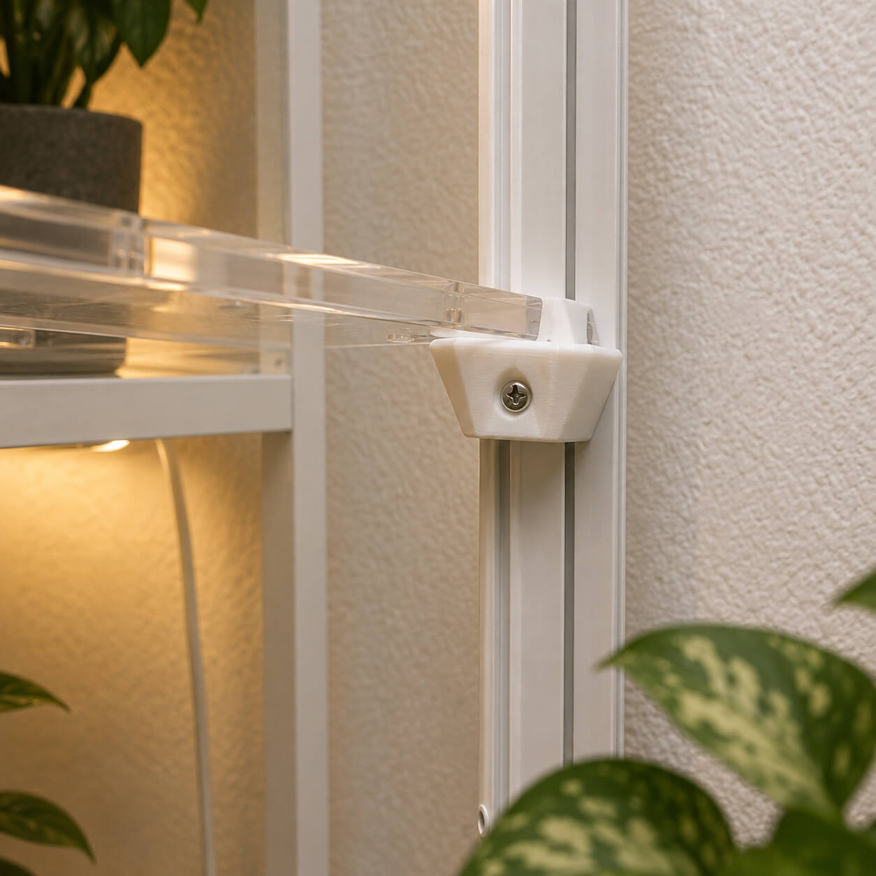 Close-up of a window with a white frame and clear glass, featuring a plant in the foreground.
