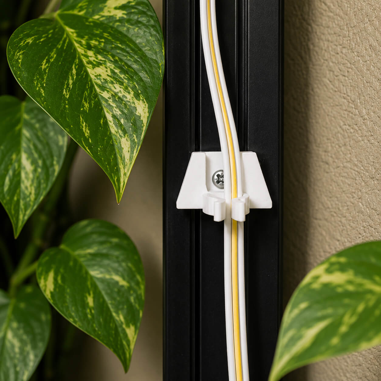 White and gold cable management clip on a black surface with green leaves in the background