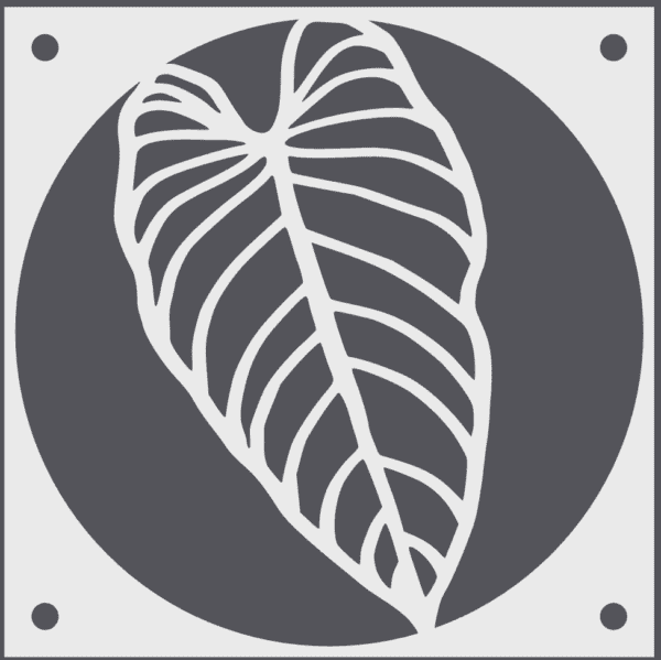 Alocasia Fan Grill