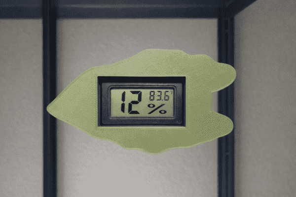 Hygrometer Alocasia Closeup Hygrometer Alocasia Closeup